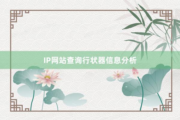 IP网站查询行状器信息分析