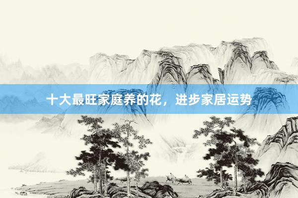 十大最旺家庭养的花，进步家居运势