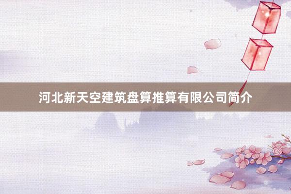 河北新天空建筑盘算推算有限公司简介