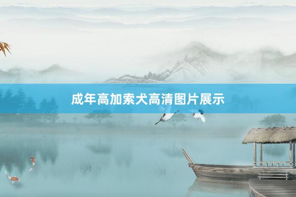 成年高加索犬高清图片展示